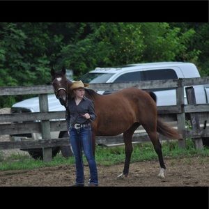 Meet your Posher, Maya